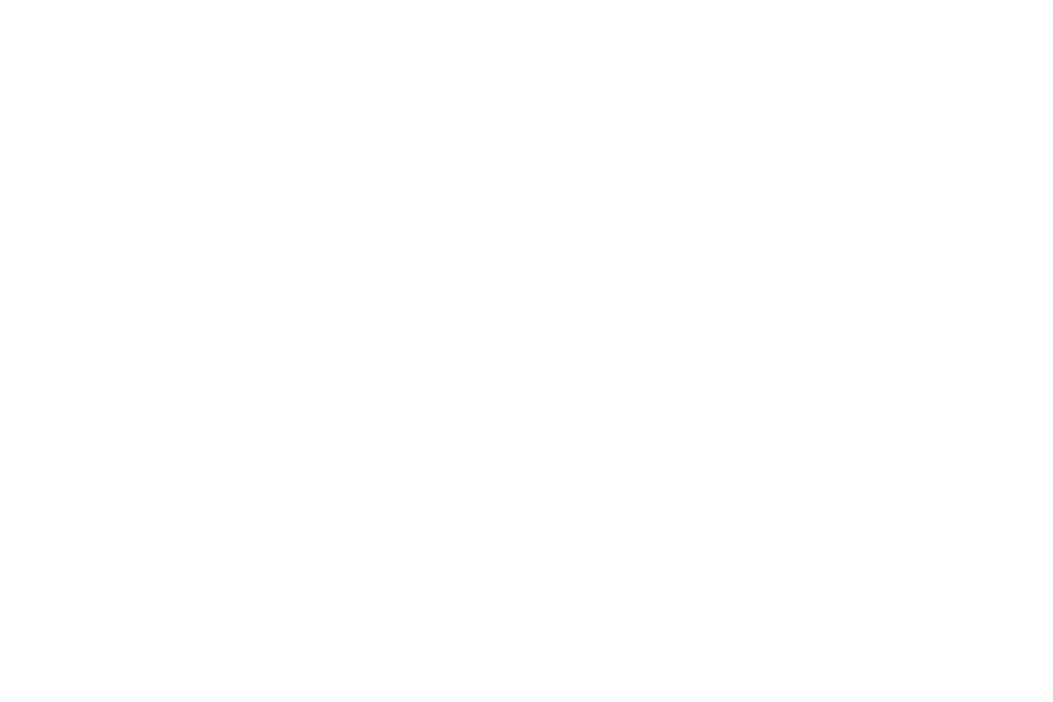 Logo_weiß2